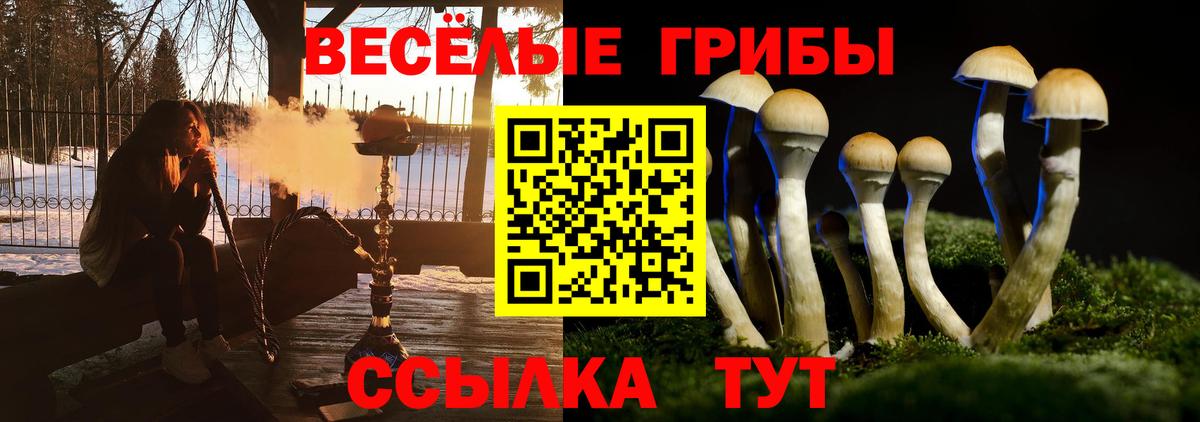 Псилоцибиновые грибы мухоморы  Вход с VPN  Коломна 